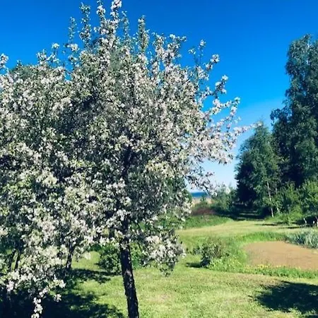 Altja Villa Guesthouse Gasthof Vergi